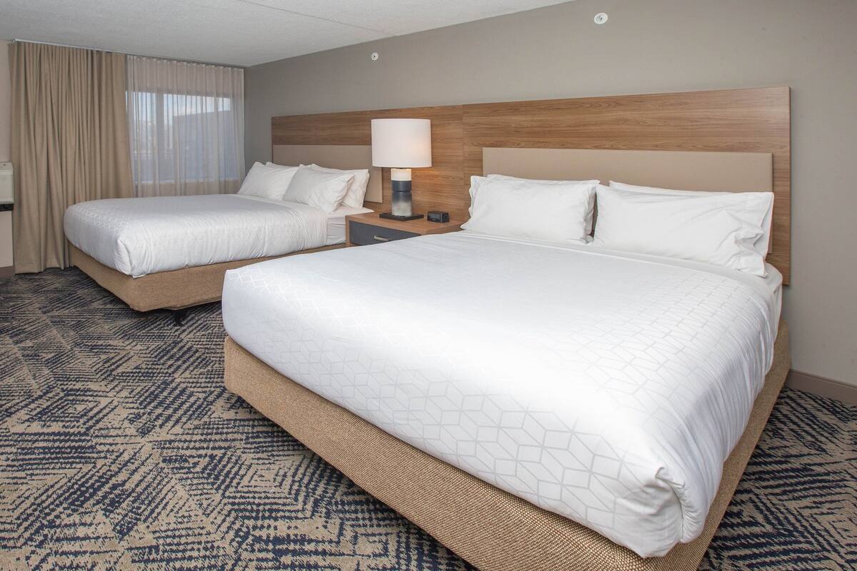 Una habitación de hotel con dos camas, televisión, lámpara y alfombra estampada.