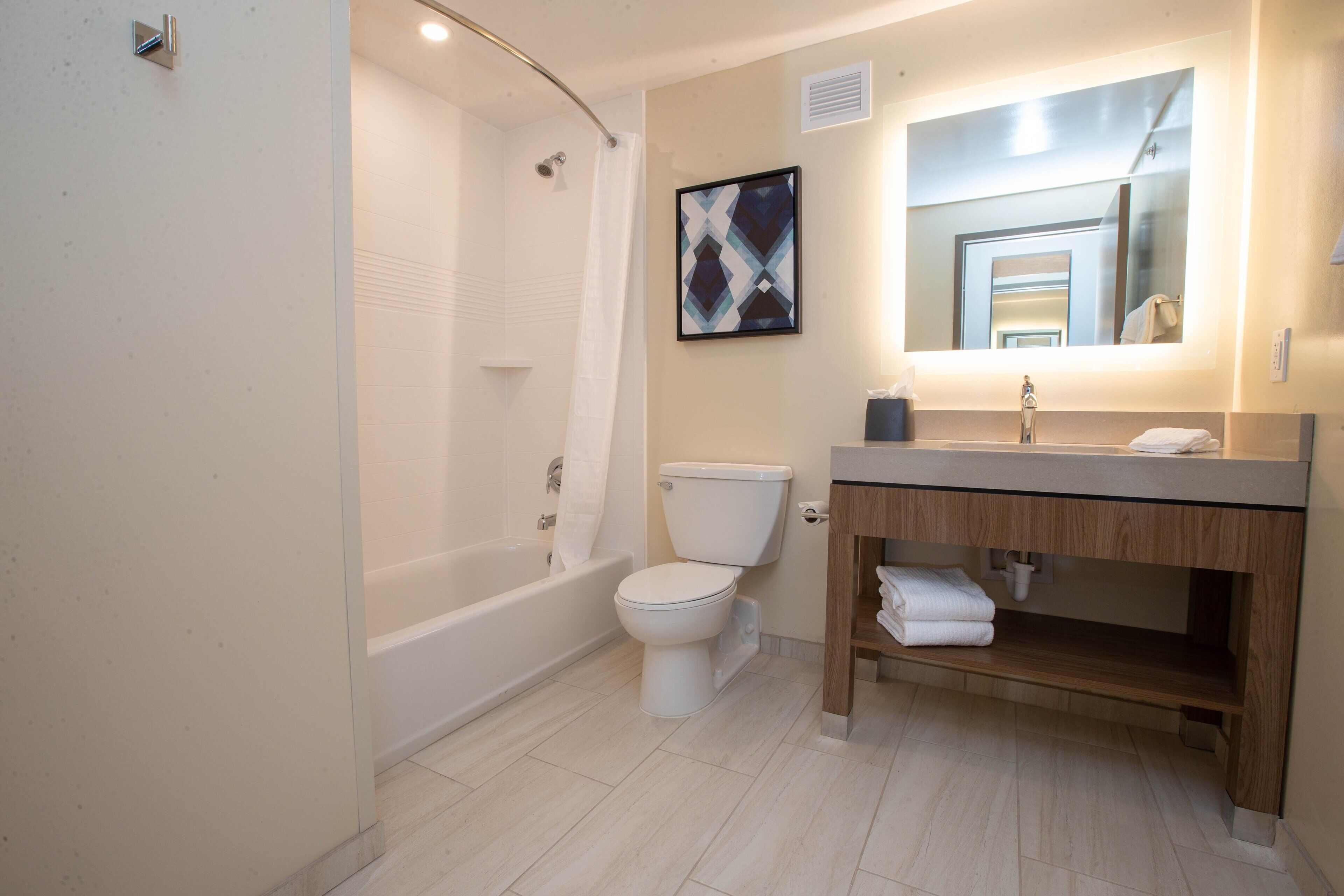 suite, 1 bedroom | bathroom | combined shower/bathtub, free toiletries, hair dryer, towels