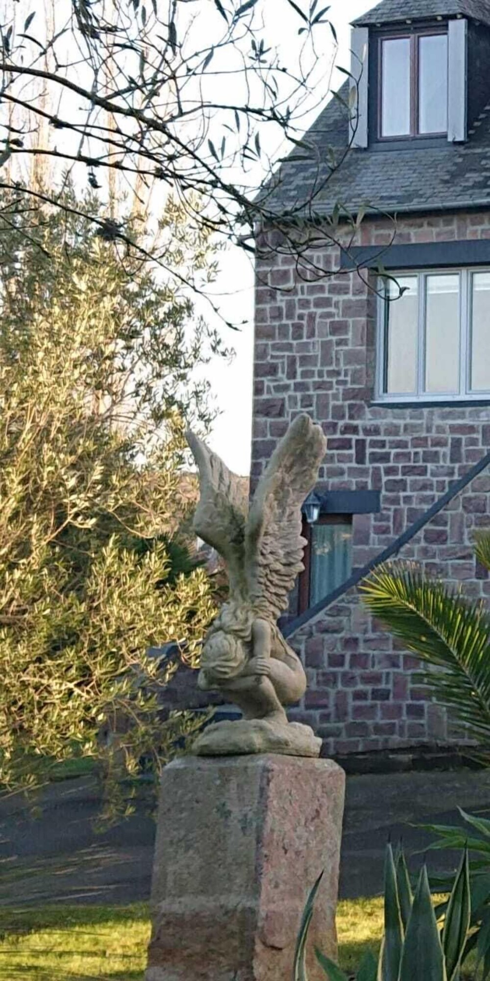 Imagen de perfil del propietario o de la propietaria