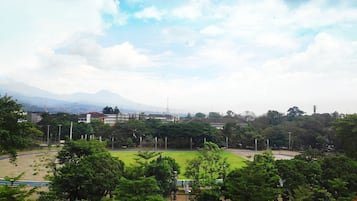 A view of a sports field with a mountain in the background.
