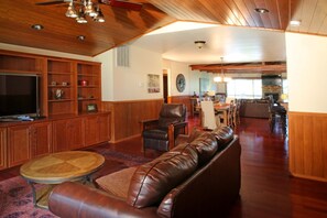 TV connectée, cheminée, lecteur de DVD