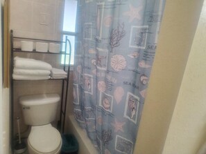 Combined shower/bathtub, towels, soap, toilet paper