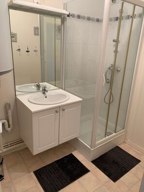 Shower, hair dryer, toilet paper