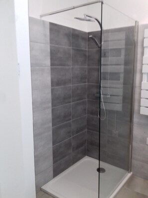 Shower, towels, toilet paper