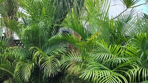 Un jardin agrémenté de différentes plantes en pot et doté d’un chemin bordé de briques.