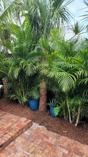 Parco della struttura