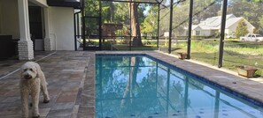 Alberca al aire libre 