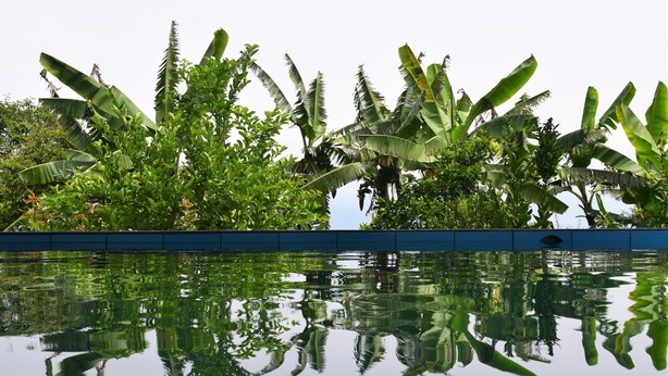 Pool - Hosteria Ariq Yaku - Chachimbiro (Pablo Arenas)