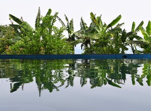 Pool - Hosteria Ariq Yaku - Chachimbiro (Pablo Arenas)