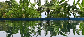 Hosteria Ariq Yaku - Chachimbiro