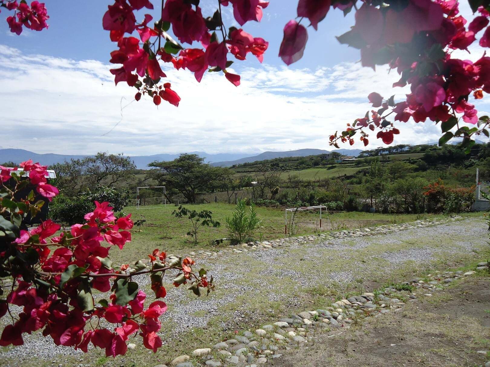 어린이 즐길거리