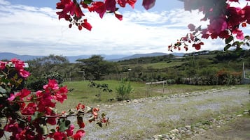 Children's activities