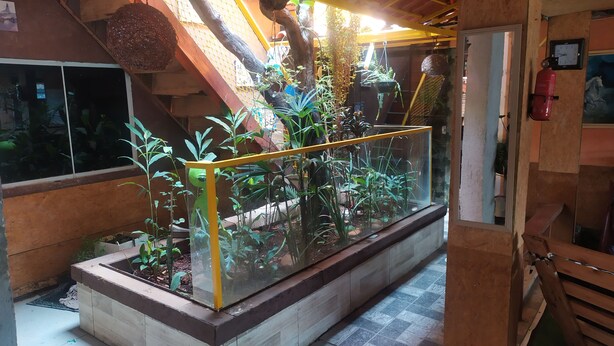 A glass-enclosed indoor garden with various plants, a wooden bench, and a fire extinguisher on the wall. - Hostel Vila Bela (Brasília)