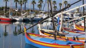 Un port de plaisance où sont amarrés plusieurs bateaux aux couleurs vives.
