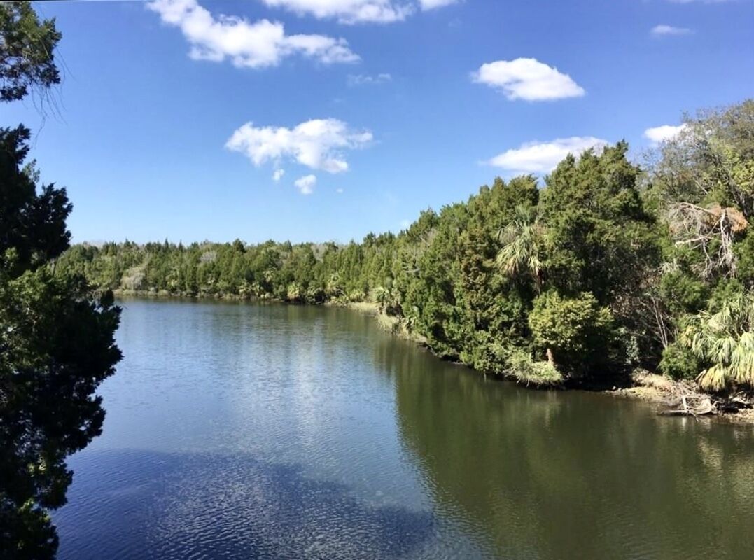 A calm lake surrounded by dense forest under a clear sky.