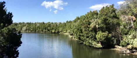 A calm lake surrounded by dense forest under a clear sky.