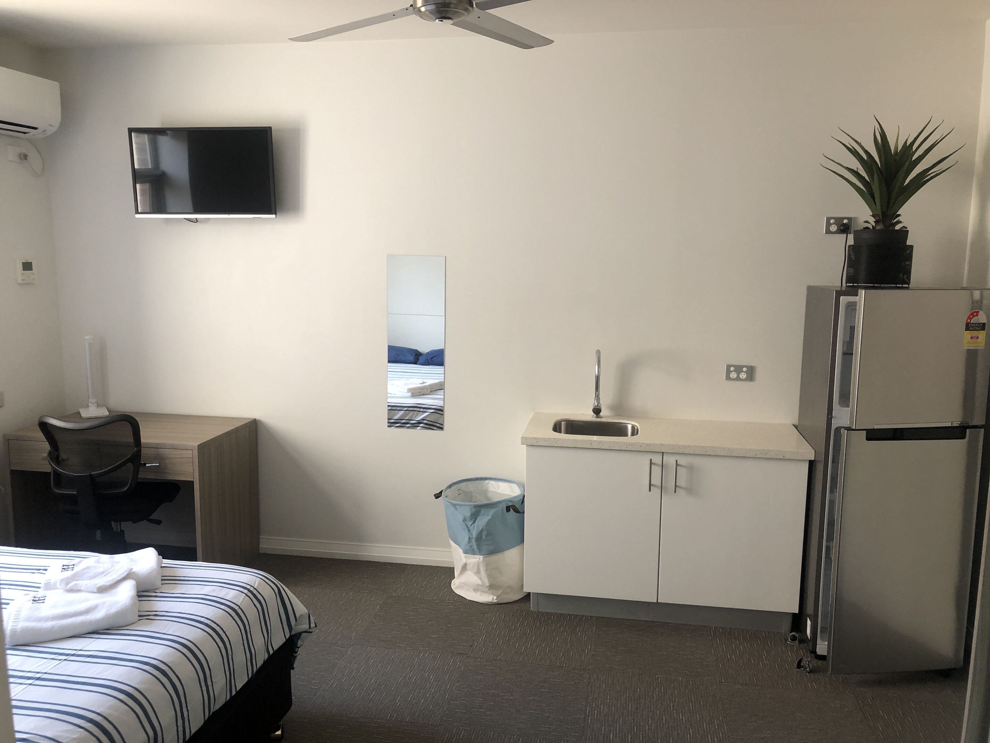 Habitación de hotel con cama, escritorio, televisión, lavamanos pequeño, refrigerador y planta en maceta.