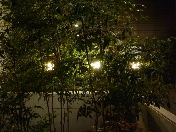 Garden - Nagoya Motoyama House F (Nagoya)