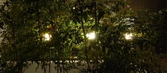 Nagoya Motoyama House G