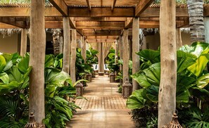 Property grounds - A Paradise of Luxury (Nuevo Vallarta)