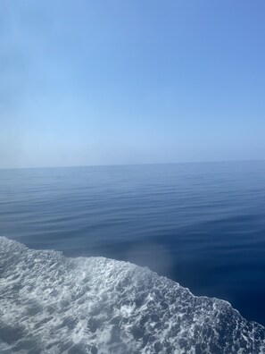 舒適開放式套房, 男女混合宿舍, 非吸煙房, 廚房 | 海灘/海景