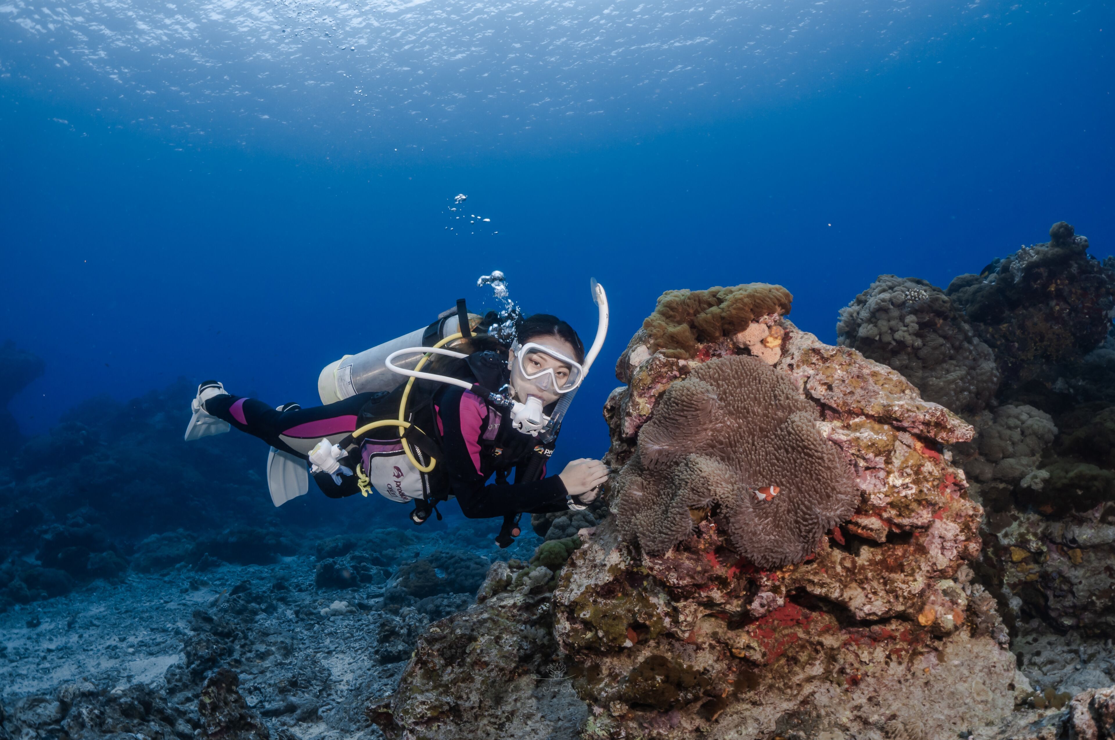 A diver exploring a coral reef with visible coral formations and underwater rocks.