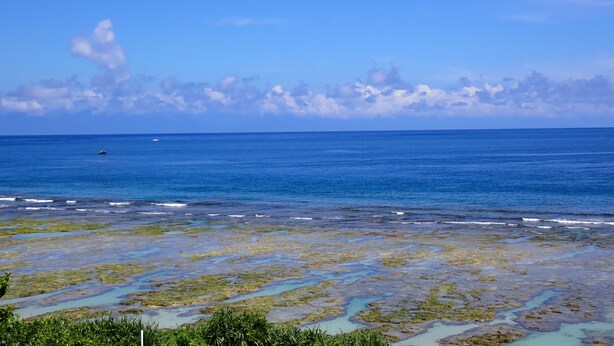 A coastal landscape with clear skies and calm sea. - Ji Guang Dive Resort - Hostel (Lyudao)