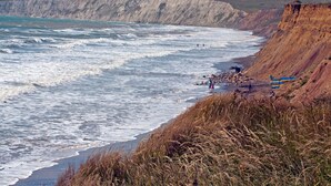 A coastal landscape with cliffs, waves, and a beach. - 1 bedroom accommodation in Brighstone (Brighstone)