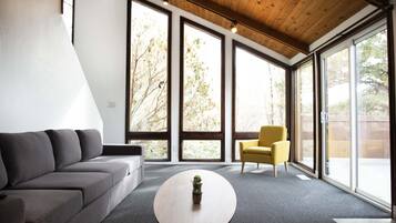 Smart TV, fireplace, video games