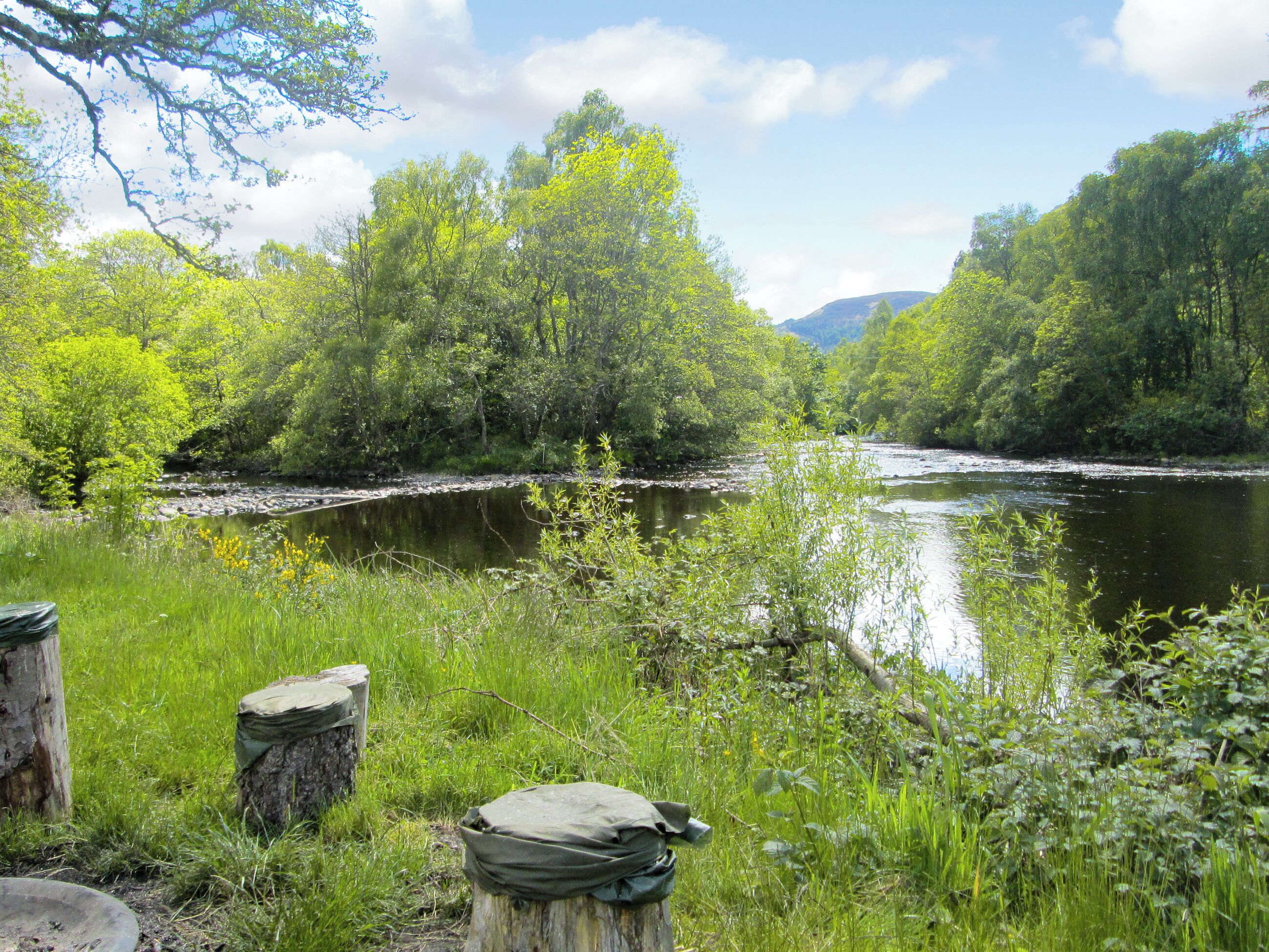 Ein Fluss, umgeben von üppiger Vegetation und Bäumen.