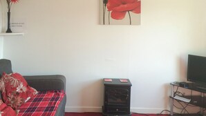 Ein Wohnzimmer mit einer Couch, einer rot-schwarz karierten Decke, einem schwarzen Heizkörper, einem Flachbildfernseher und einem Bild von roten Blumen an der Wand.