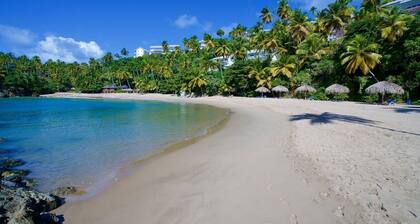 The Most Beautiful place