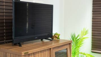 TV
