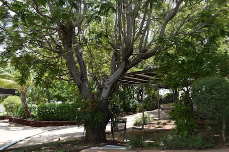 Jardín