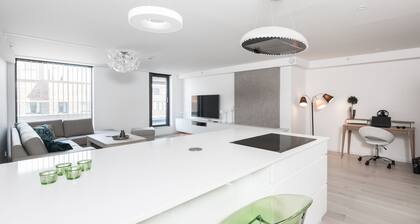 Fantastic 130m2 asunto joen rantakadulla