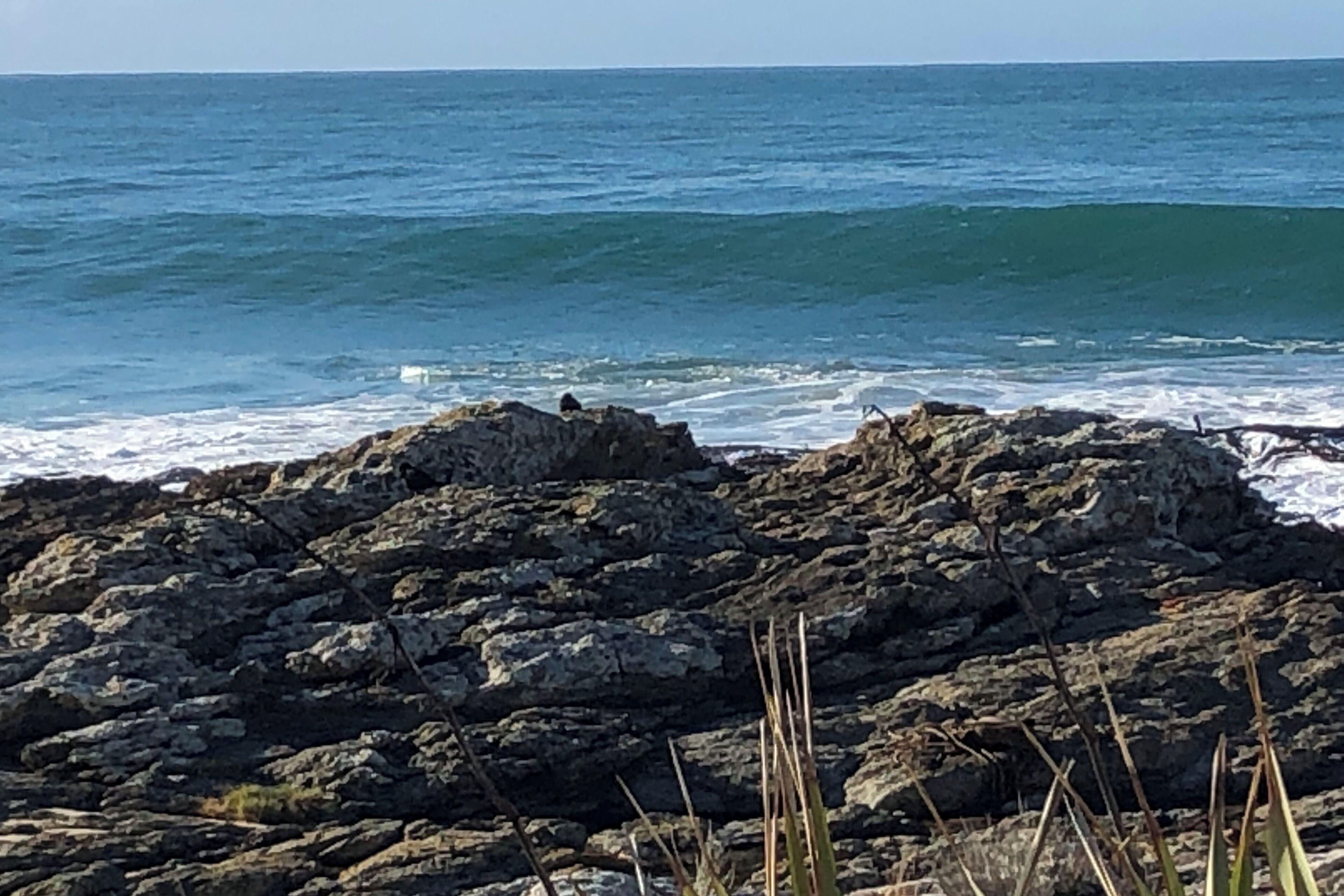 Platja a a prop, gandules de platja i tovalloles de platja 