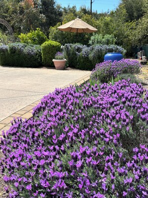 Overnattingsstedets uteområder