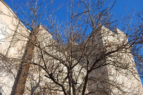 Uma árvore em frente a um edifício sob um céu azul límpido.