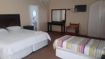 Quarto standard | Escrivaninha, ferros/tábuas de passar roupa, Wi-Fi de cortesia