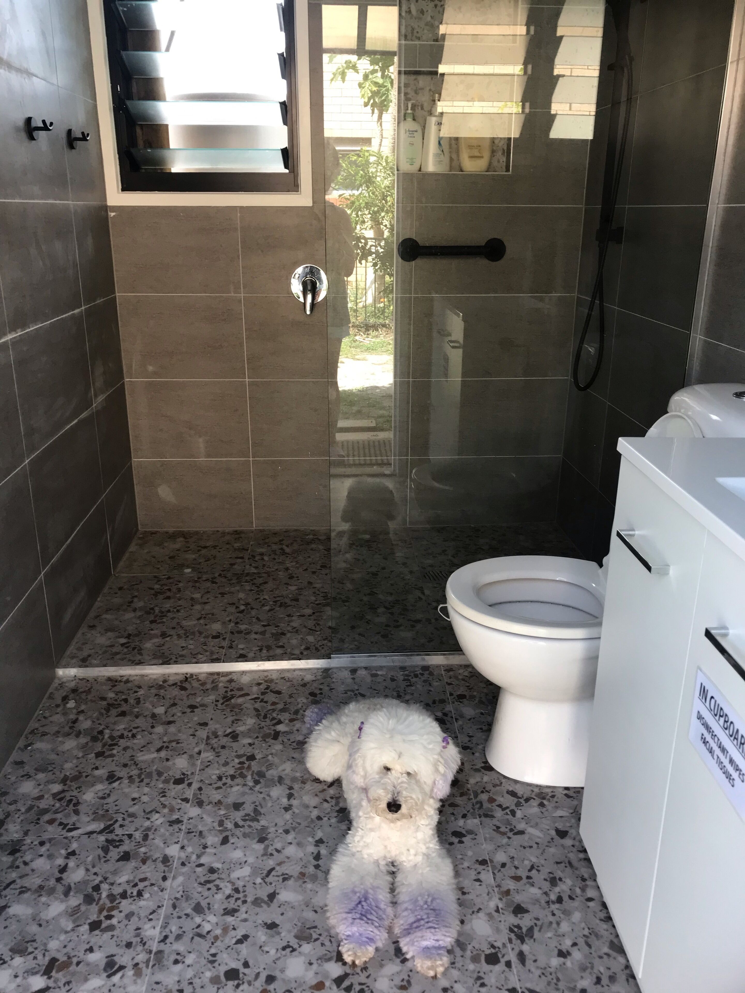 A bathroom with a glass shower door, a toilet, and a small white dog on the floor.