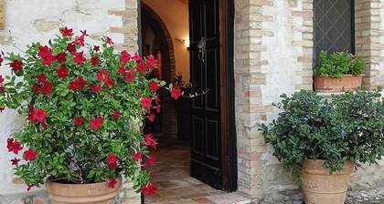 Beautiful private villa for 10 guests with A/C, WIFI, private pool, TV, patio and pets allowed