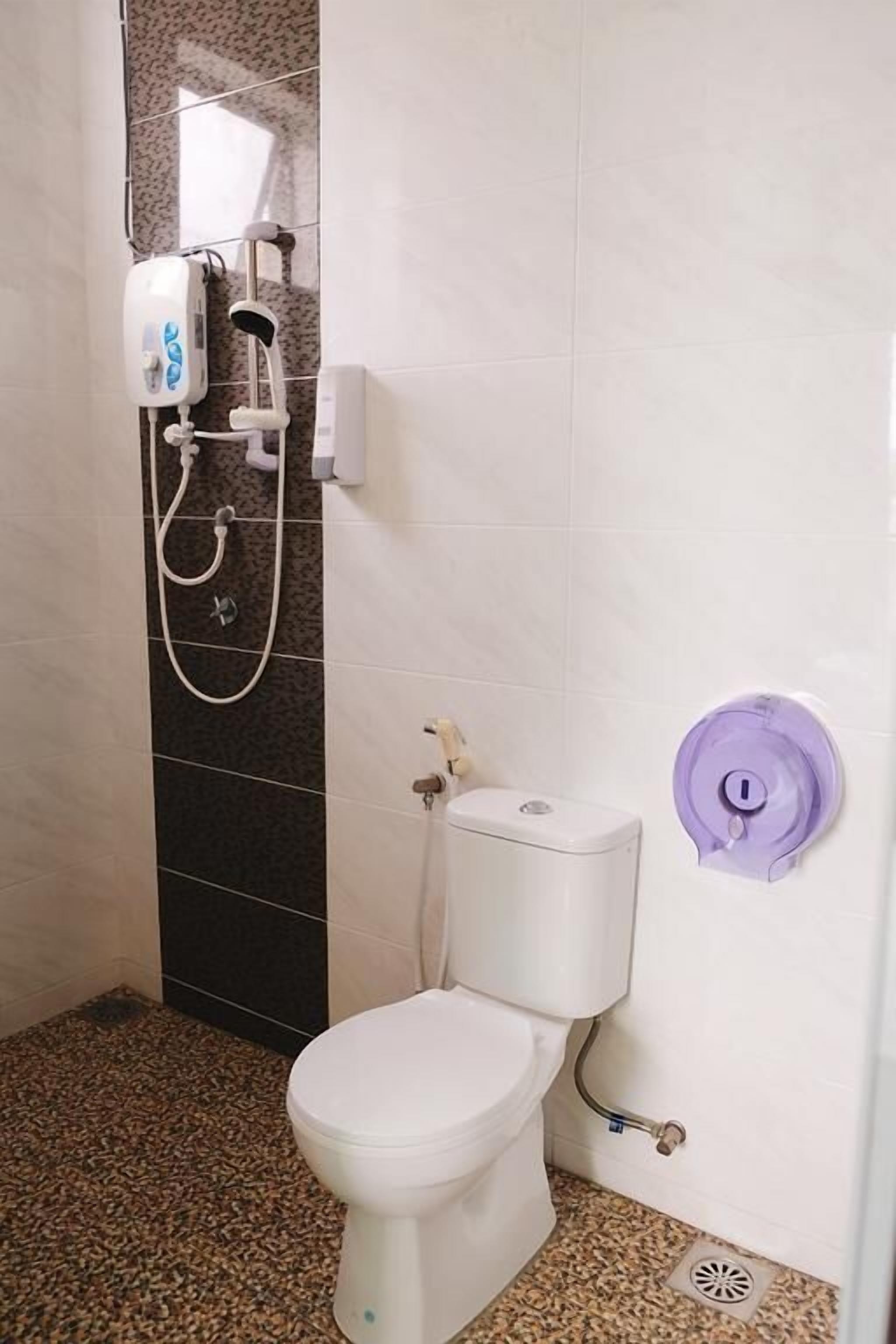 Ducha, toallas, shampoo, papel higiénico