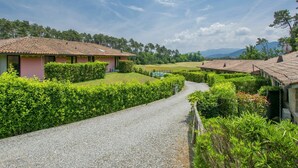 Un paysage rural avec un chemin de gravier menant à un bâtiment rose au toit de tuiles, entouré d’une végétation luxuriante et dominé par des montagnes lointaines.