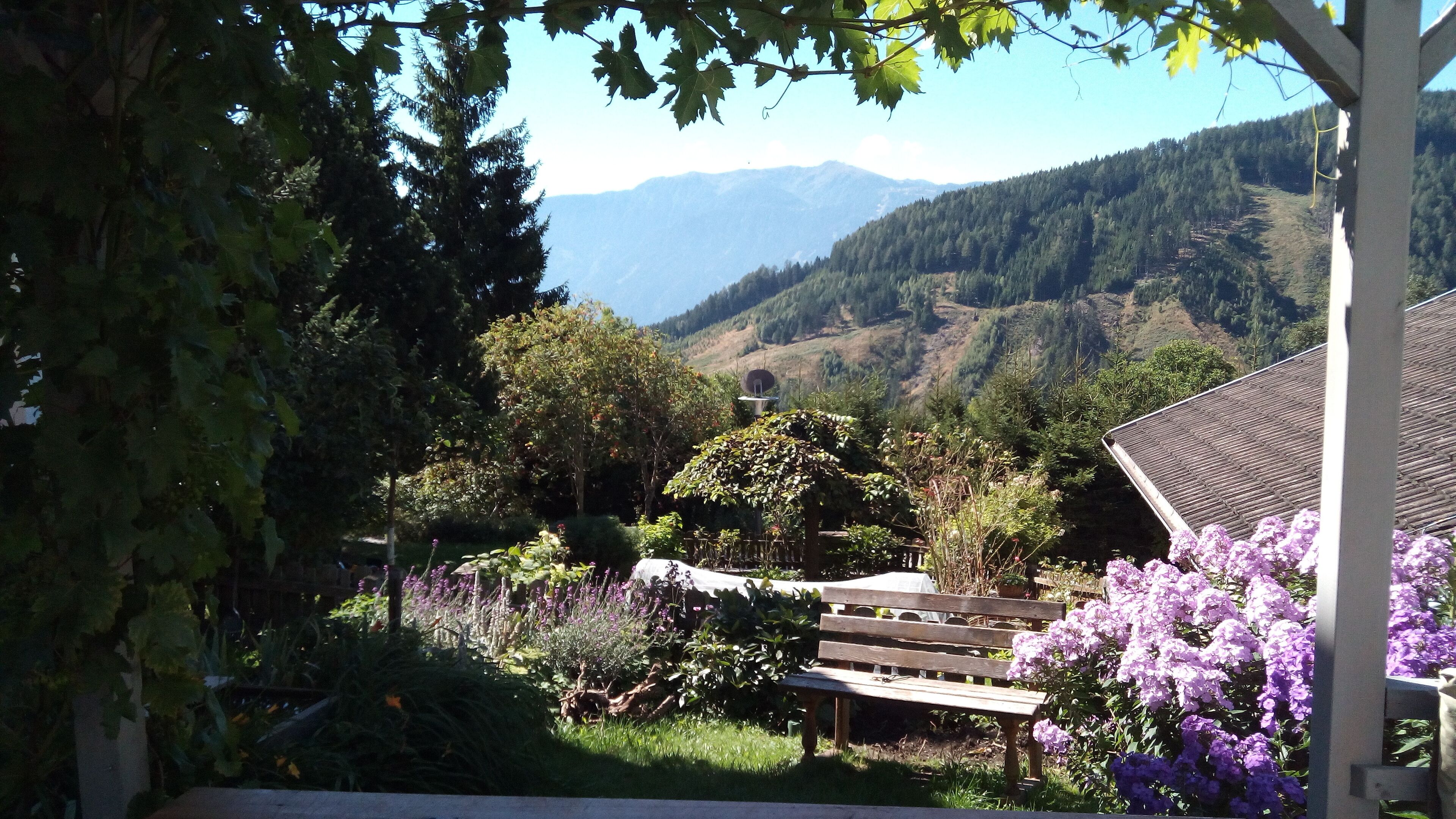 View from the dining room !