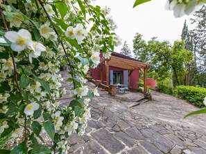 المنطقة المحيطة بالمنشأة