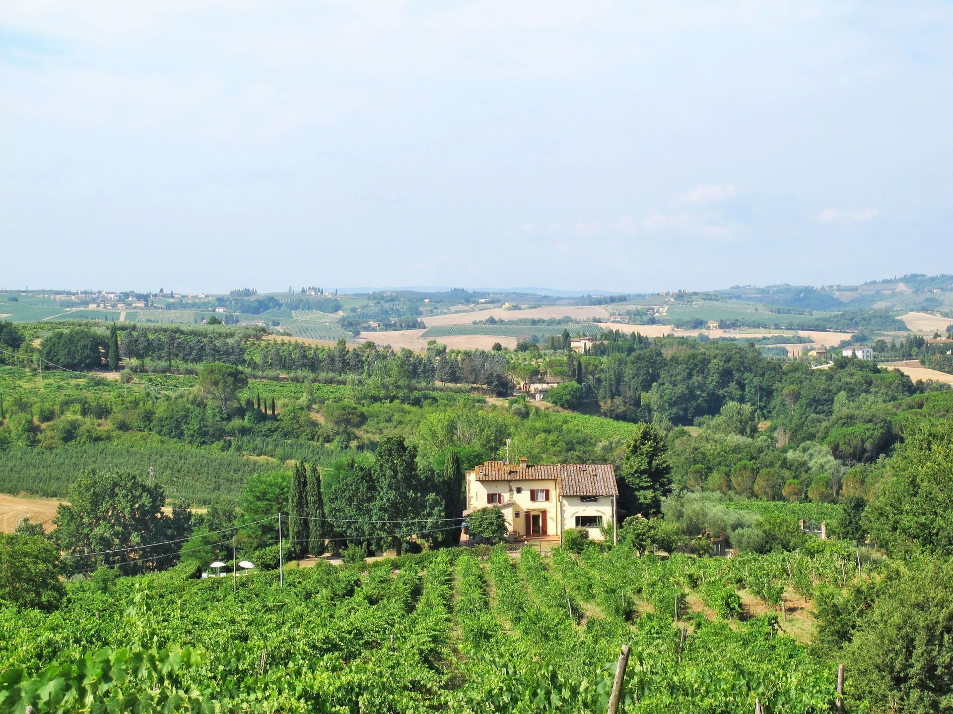 A rural landscape with vineyards and a small house with a tiled roof.