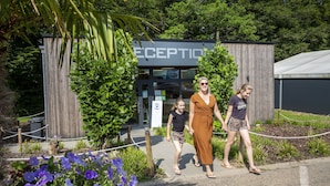 A reception area with a wooden facade and a sign that reads "RECEPTION". - Hu Birkelt Village (Larochette)