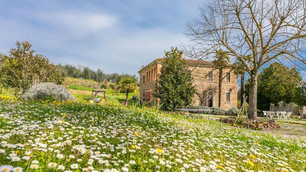 A historic building with a garden full of daisies. - Wonderful private villa for 11 guests with WIFI, TV, balcony and pets allowed (Sinalunga)