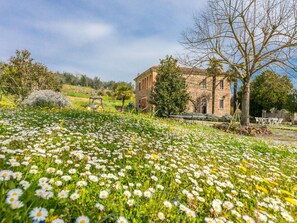 Un edificio storico con un giardino pieno di margherite.
