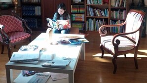 Bibliotek
